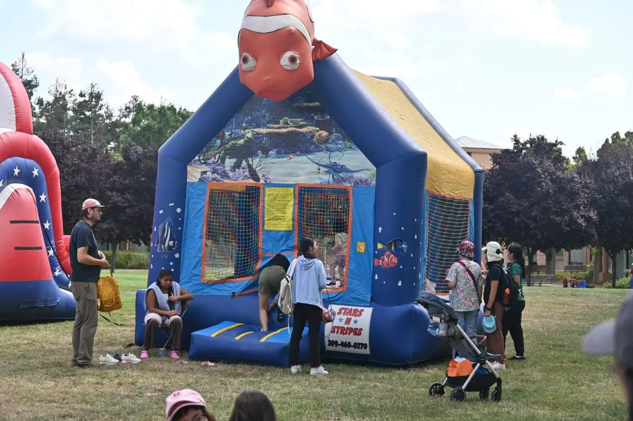Album 8