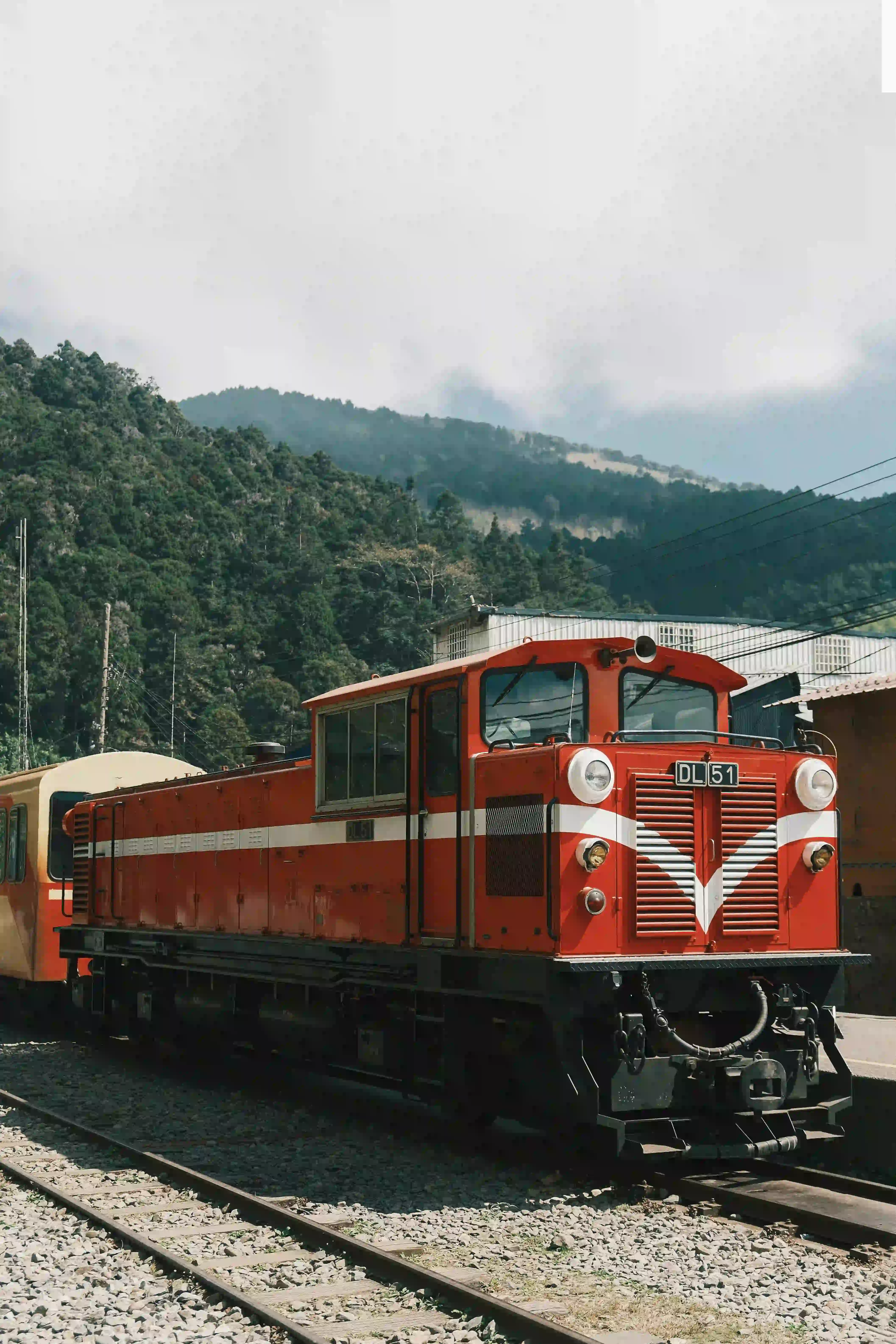Alishan 阿里山